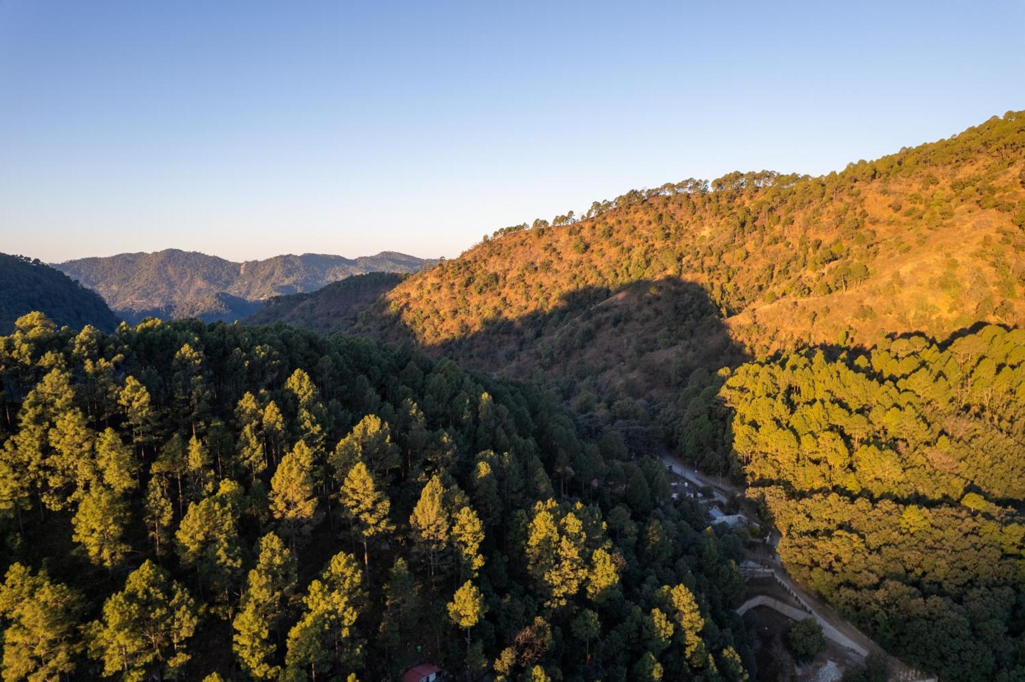 The Canadian Woods Resort Nainital Ngoại thất bức ảnh